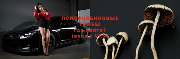 индика Нефтегорск