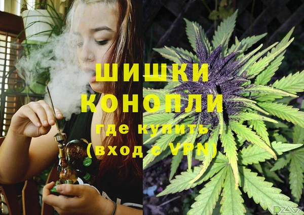 spice Алагир