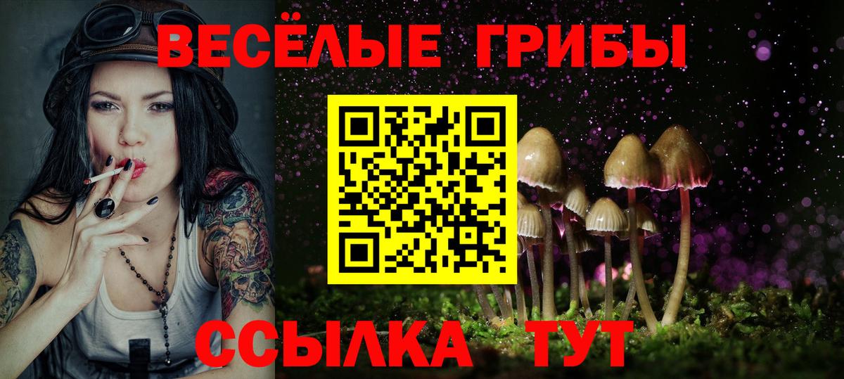 Кисловодск  Галлюциногенные грибы ЛСД  Галлюциногенные грибы MAGIC MUSHROOMS  Вход с VPN 