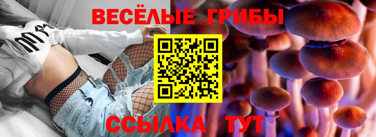 Галлюциногенные грибы Cubensis  Псилоцибиновые грибы Psilocybe  Кисловодск 